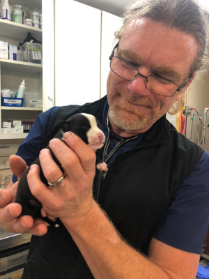 Eric Schnirman, DVM