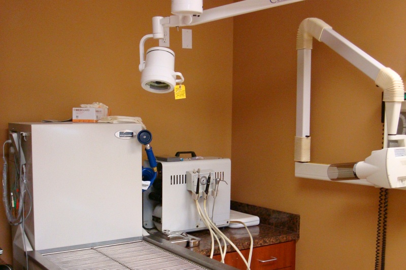 Summit Boulevard Animal Hospital