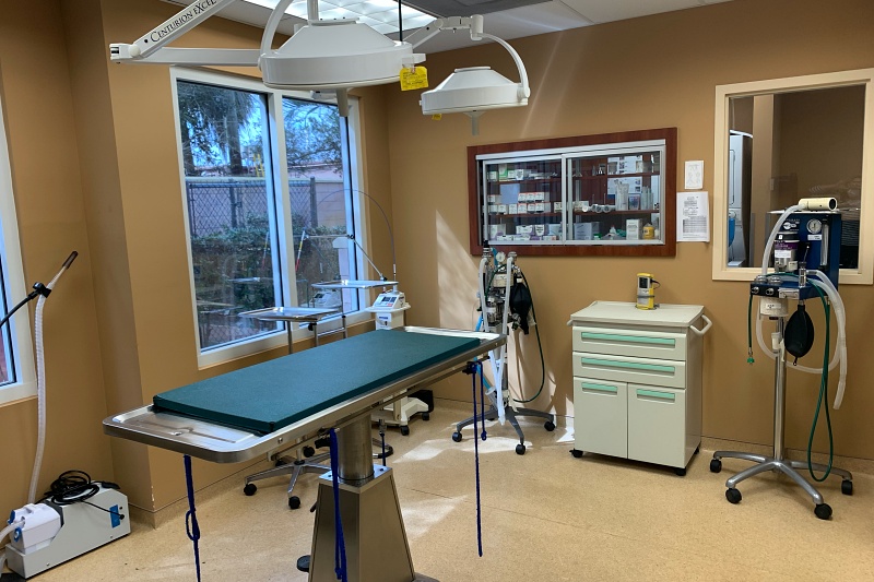 Our animal emergency center at Summit Boulevard Animal Hospital in West Palm Beach, FL
